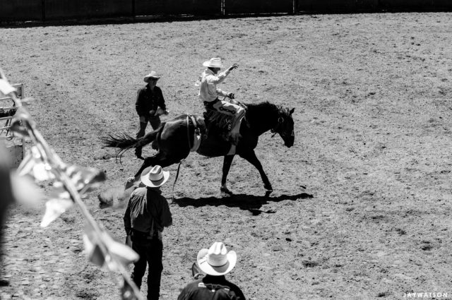 Bronco Rider. La Honda, CA