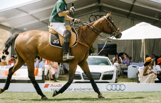 San Francisco International Polo Classic