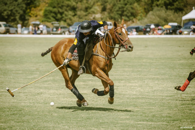 San Francisco International Polo Classic